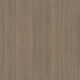 Turtle Dove