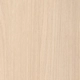 Urban Maple