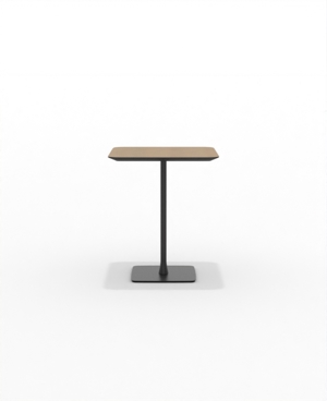 FRSCH30SQ_05.JPG