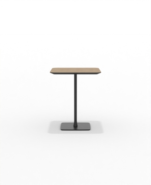 FRSCH30SQ_07.JPG