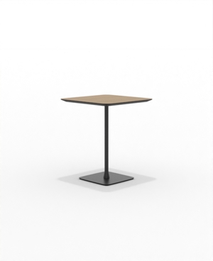 FRSCH30SQ_08.JPG