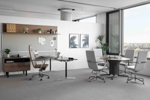 Rapt_Mood_Image_01 copy.jpeg