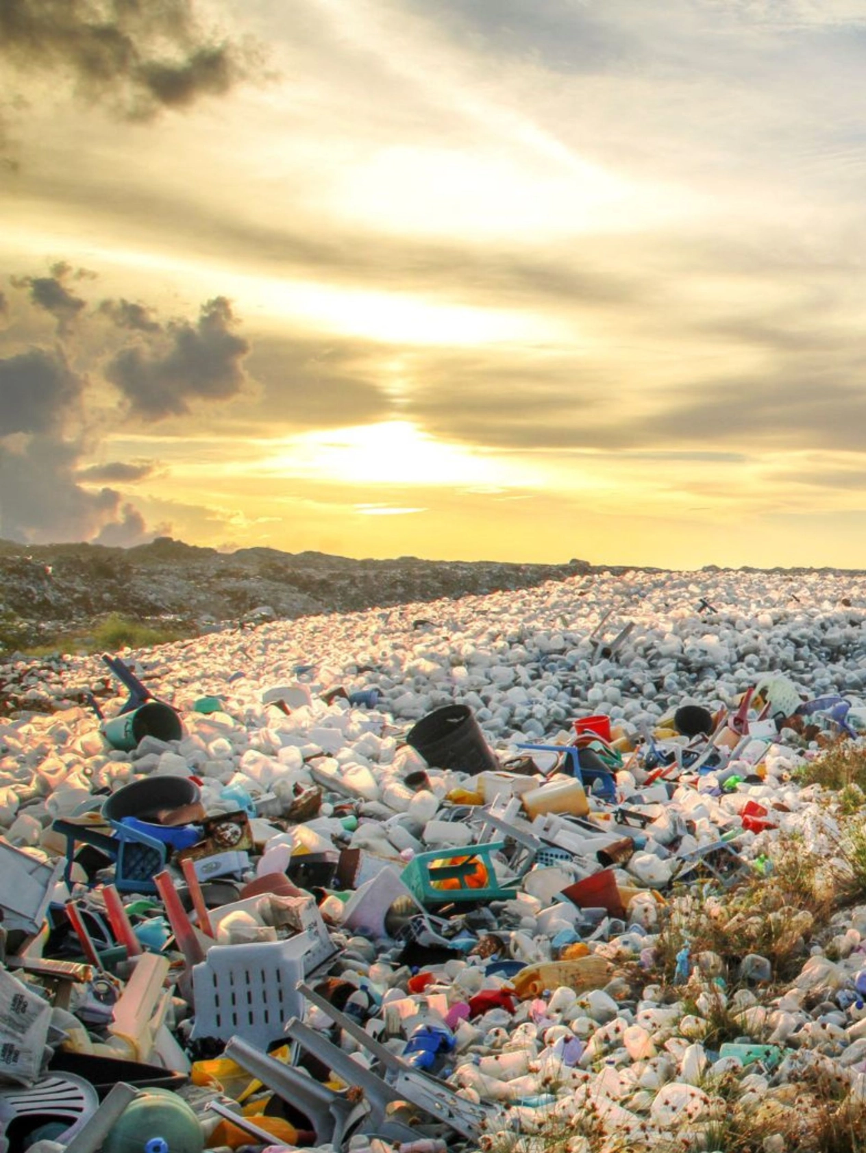 Insights_ChallengingFastFurniture_LANDING