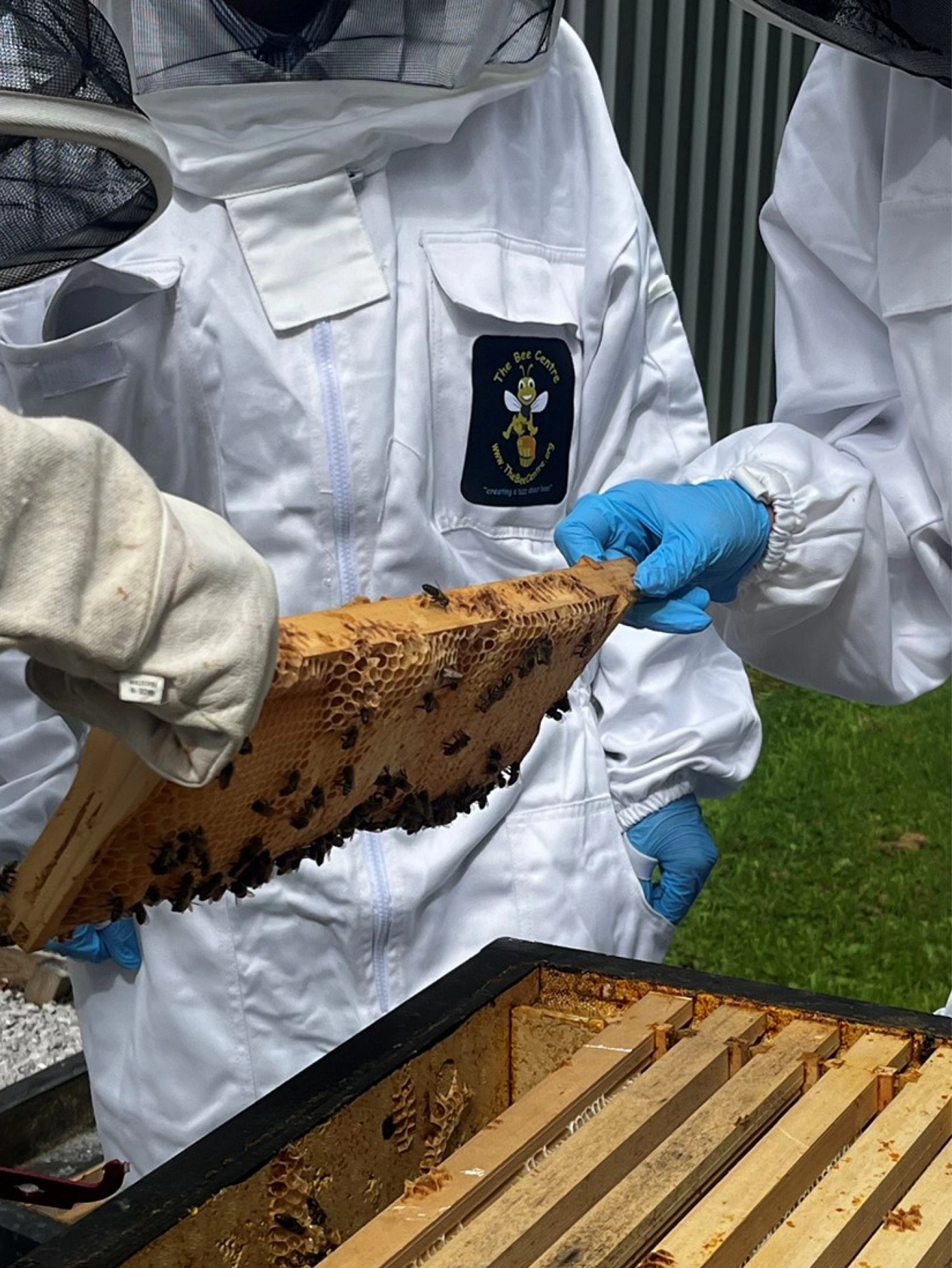 News_HoneyHarvest_Landing