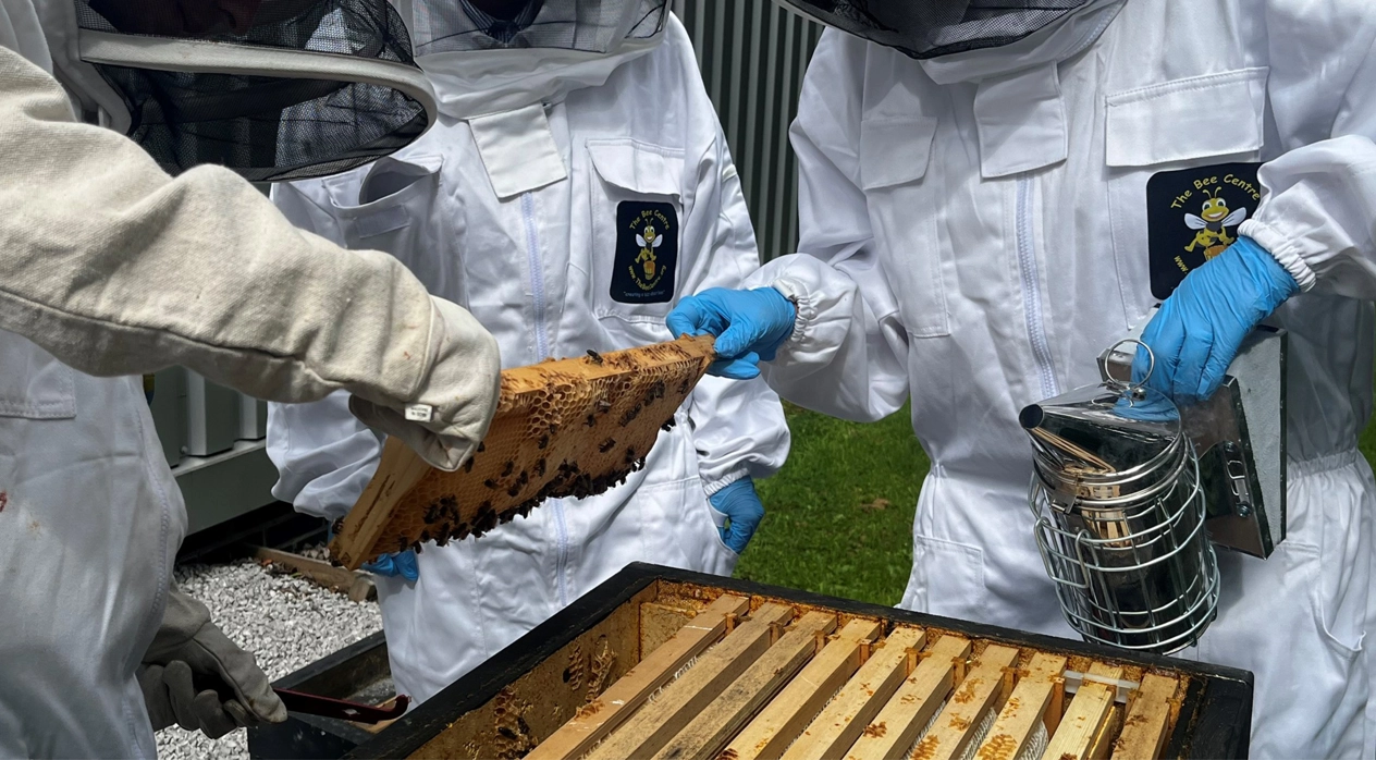 News_HoneyHarvest_Main