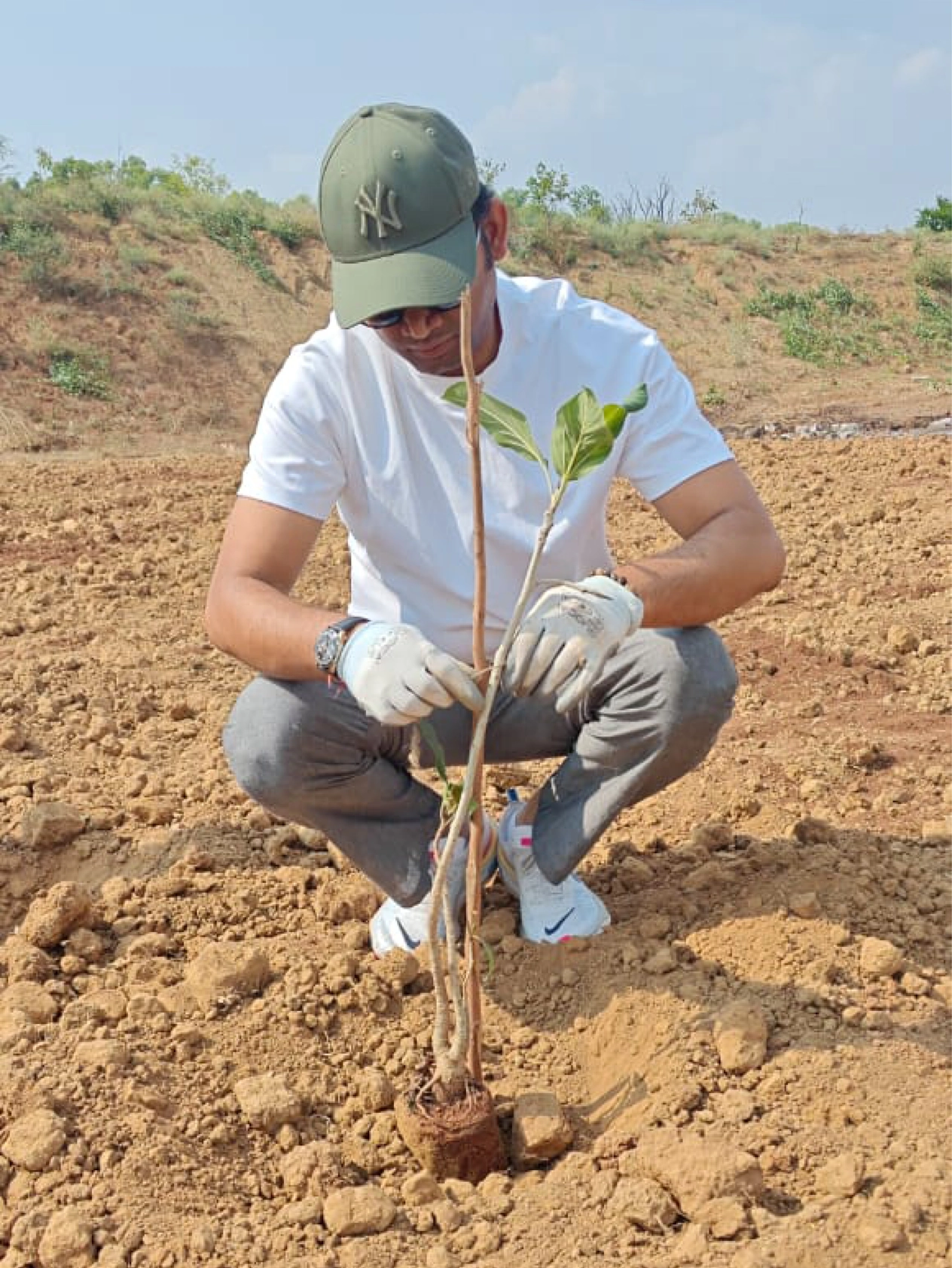 News_TreePlanting_Landing